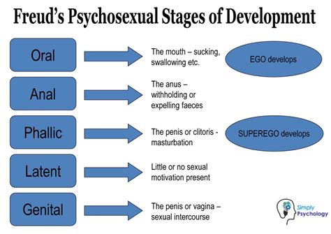 Freud's Stages of Human Development: 5 .